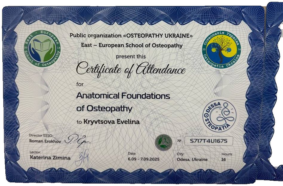Anatomical Foundations of Osteopathy