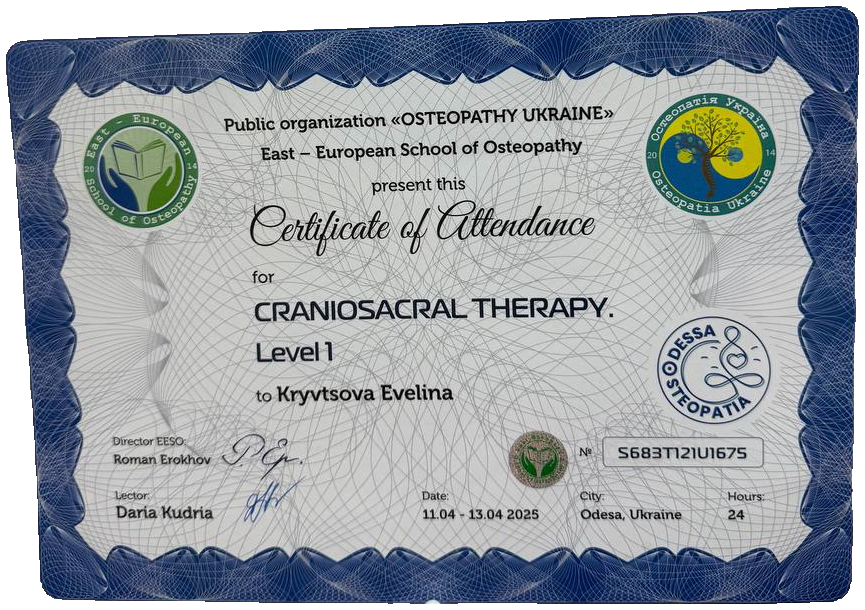 Craniosacral Therapy Level 1