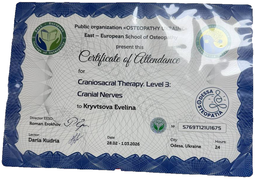 Craniosacral Therapy Level 3: Cranial Nerves