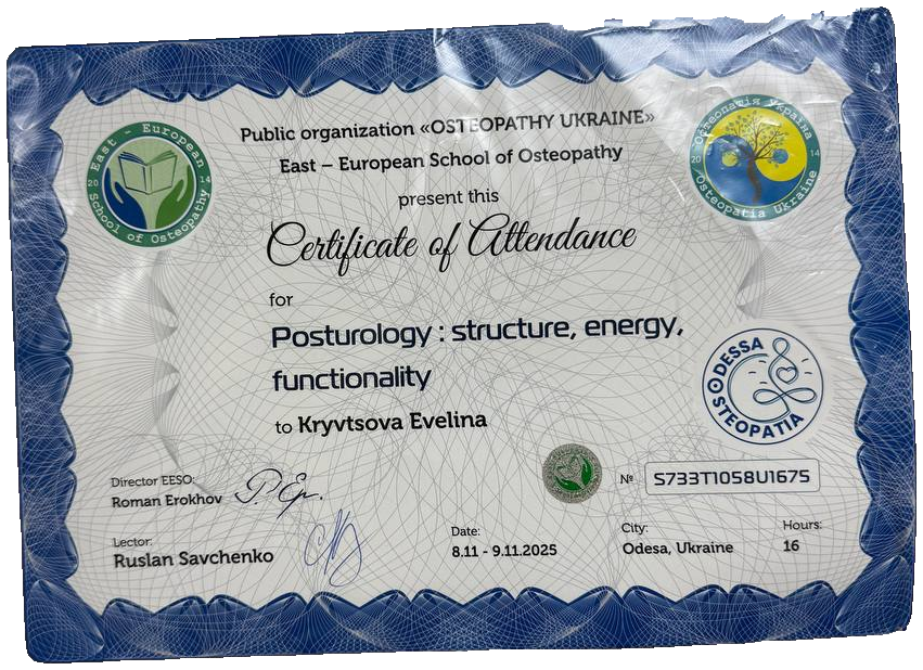 Posturology: structure, energy, functionality