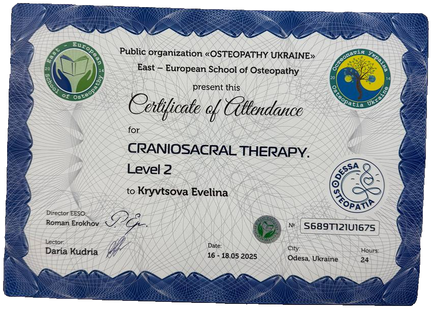 Craniosacral Therapy Level 2
