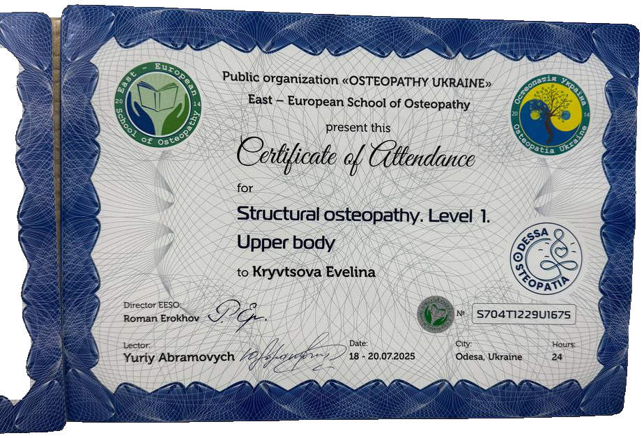 Structural osteopathy. Level 1. Upper body
