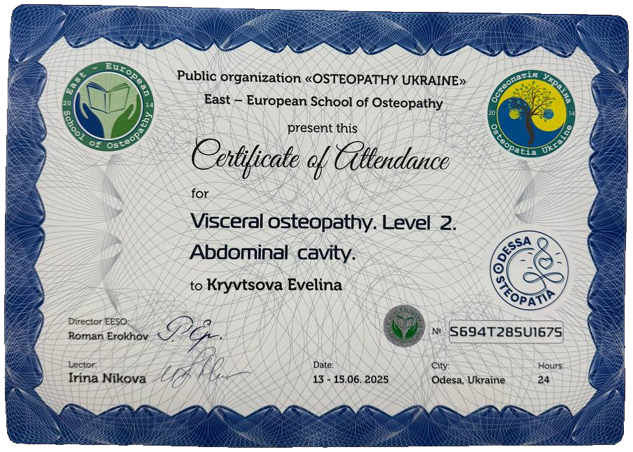 Visceral osteopathy. Level 2. Abdominal cavity