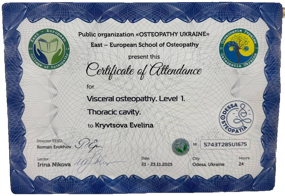 Visceral osteopathy. Level 1. Thoracic cavity